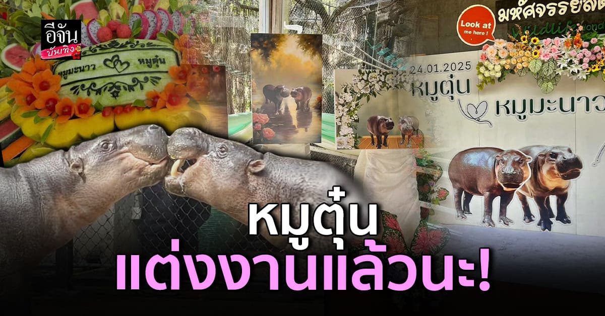 สละโสด! หมูตุ๋น – หมูมะนาว แต่งงานกันแล้วจ้า