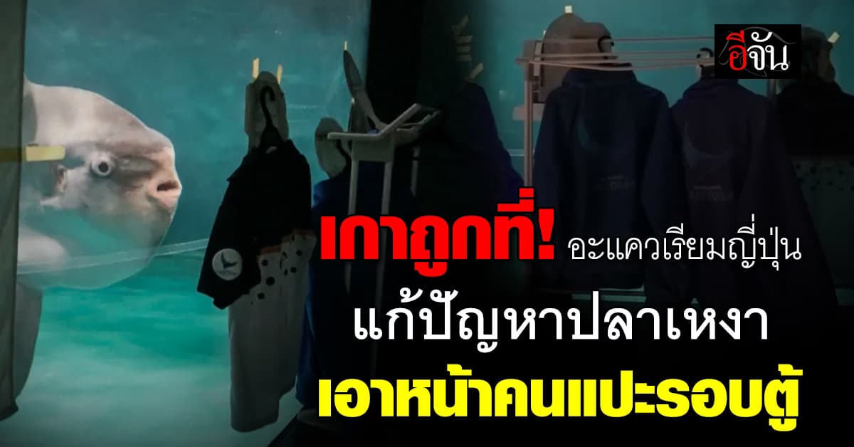 อะแควเรียมญี่ปุ่นทำถึง! แก้ปัญหาปลาเหงา ด้วยวิธี “เอาภาพหน้าคน” แปะรอบตู้ 