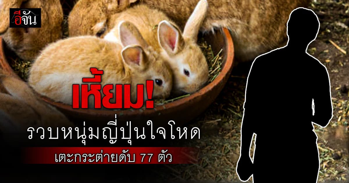 ใจเหี้ยม! รวบหนุ่มญี่ปุ่นใจโหด เตะกระต่ายบนเกาะ ดับ 77 ตัว
