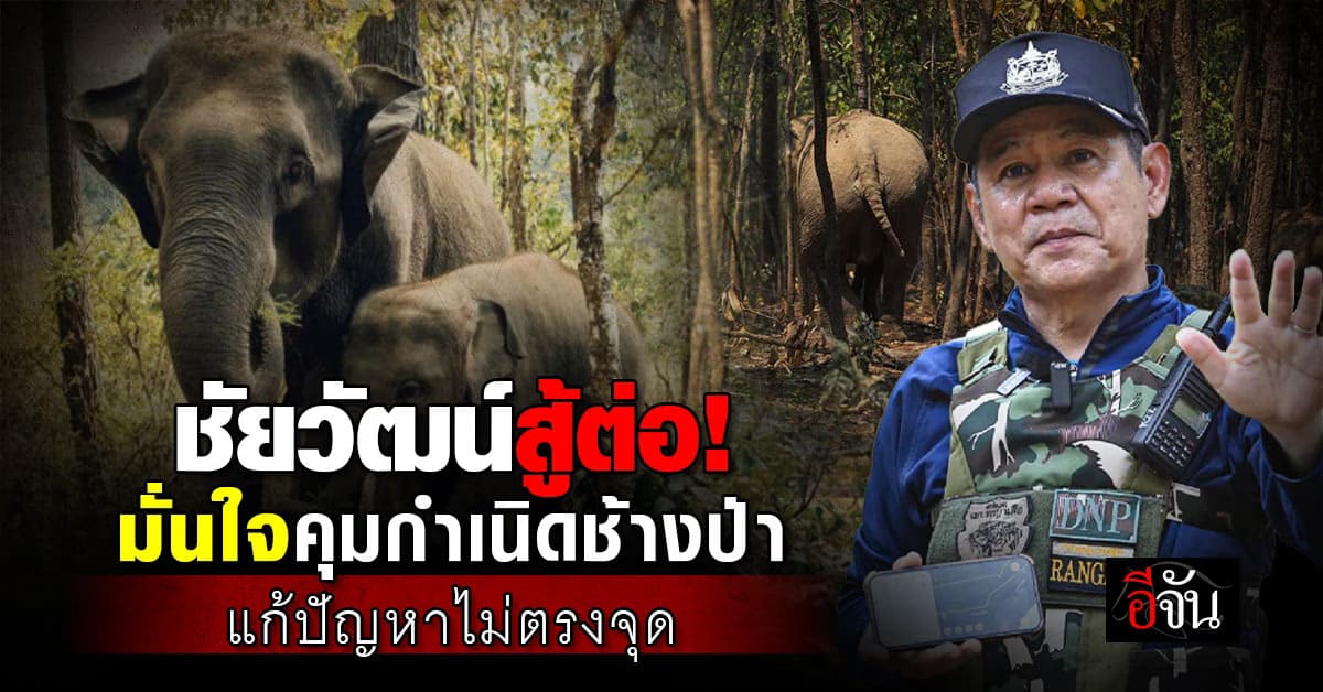 ชัยวัฒน์ลุยต่อ! สู้เพื่อช้างป่า เบรกวัคซีนคุมกำเนิดช้าง!