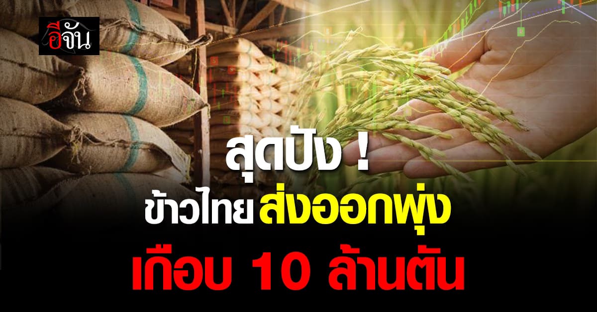 ก.พาณิชย์ เผย ส่งออกข้าวปี 67 สูงเกือบ 10 ล้านตัน !