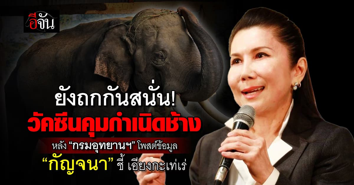 ชาวเน็ตถกกันสนั่น! วัคซีนคุมกำเนิดช้าง หลัง “กรมอุทยานฯ” โพสต์ข้อมูลพื้นที่ช้างรุก