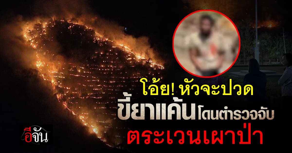 โอ้ย! หัวจะปวด ขี้ยาแค้นโดนตำรวจจับ ตระเวนเผาป่าเขาพลอง จ.ชัยนาท 