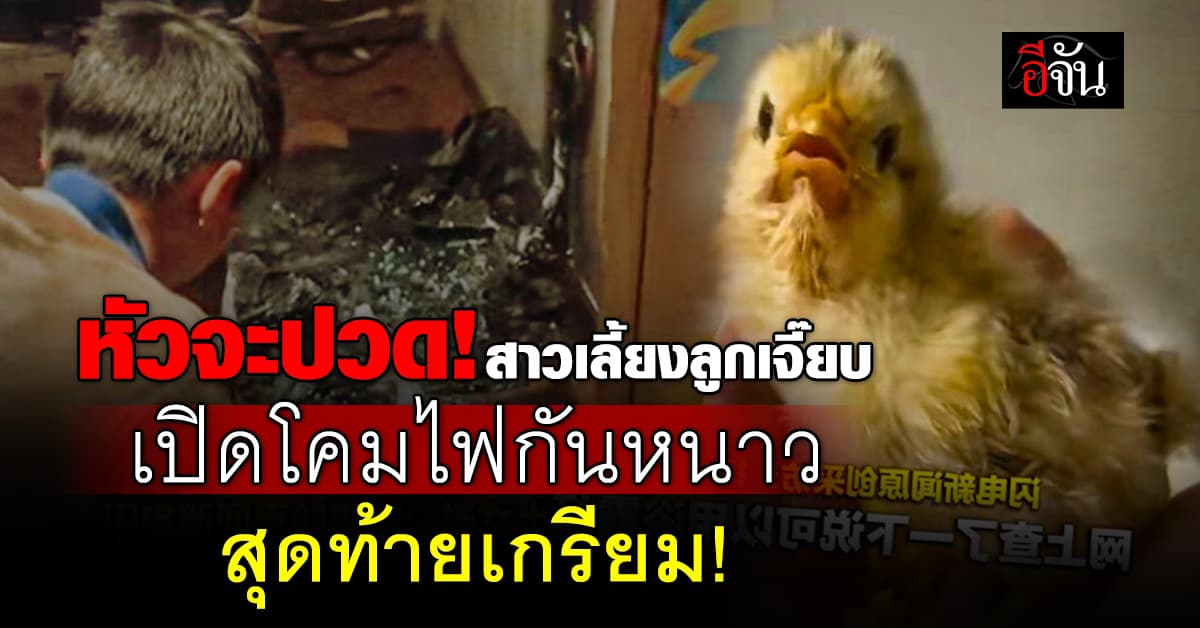 หัวจะปวด! หญิงชาวจีน เปิดโคมไฟหวังกันหนาวให้ “ลูกเจี๊ยบ” สุดท้ายไหม้เกรียม