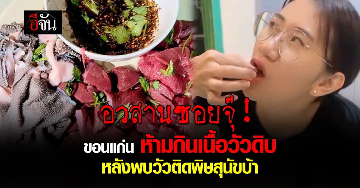 ขอนแก่น ประกาศ! เขตพิษสุนัขบ้าระบาด ห้ามกินเนื้อวัวดิบ หลังพบวัวติดเชื้อ 