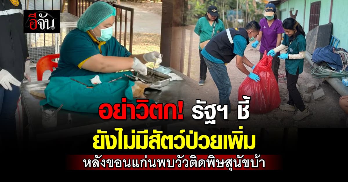 อย่าวิตก! รัฐบาล ชี้ ยังไม่มีสัตว์ป่วยพิษสุนัขบ้าเพิ่ม หลังขอนแก่น พบในวัว-หมา-แมว 