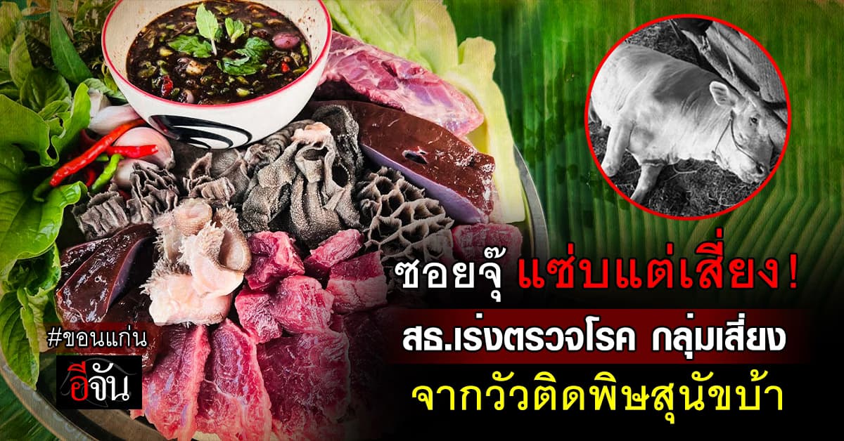 สาธารณสุขขอนแก่น เร่งสอบสวนโรค ผู้มีความเสี่ยง 400 ราย จากเหตุ วัวติดพิษสุนัขบ้า !