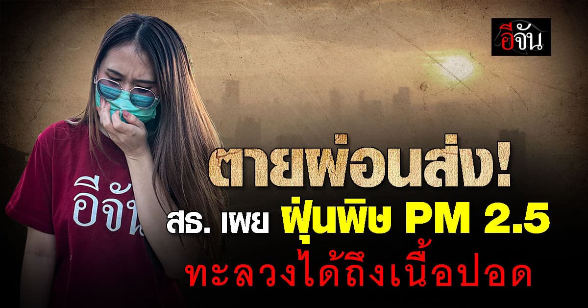 อันตรายกว่าที่คิด! สธ. เผย ฝุ่นพิษ PM 2.5 ทะลุทะลวงได้ถึงเนื้อปอด 