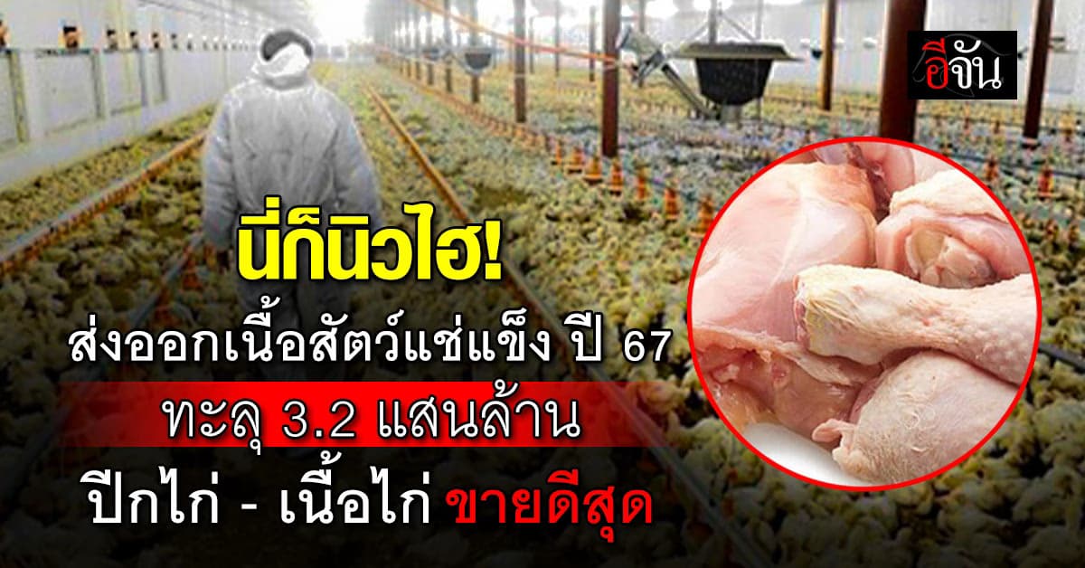 ไก่ไทยมันแซ่บ! ส่งออกปศุสัตว์แช่แข็ง ปี 67 ทำนิวไฮ สูงสุดในประวัติศาสตร์ 3.2 แสนล้านบาท
