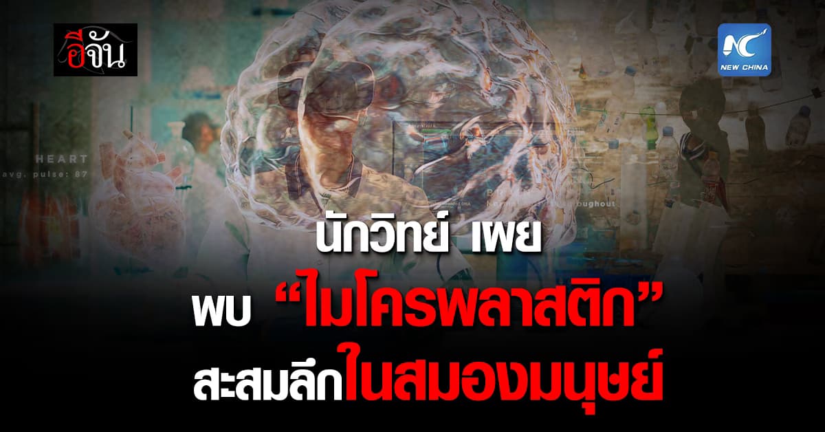 นักวิทยาศาสตร์สหรัฐฯ พบ “ไมโครพลาสติก” สะสมลึกในสมองมนุษย์