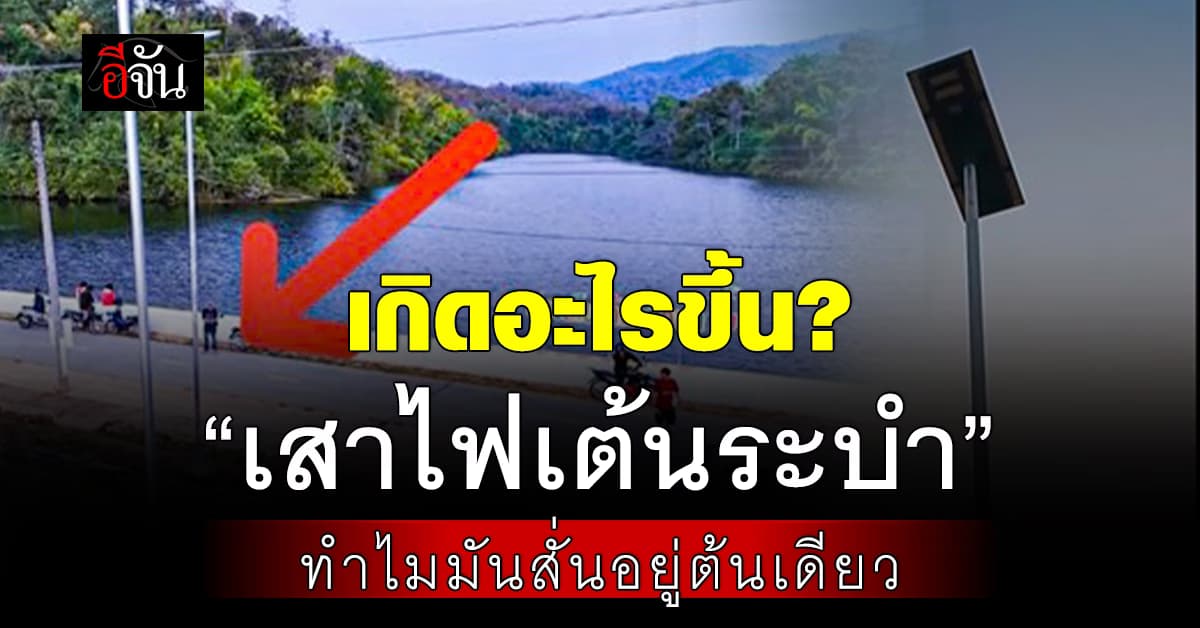 ชาวบ้านฮือฮา! เสาไฟเต้นระบำ งง ทำไมมันสั่นอยู่ต้นเดียว   