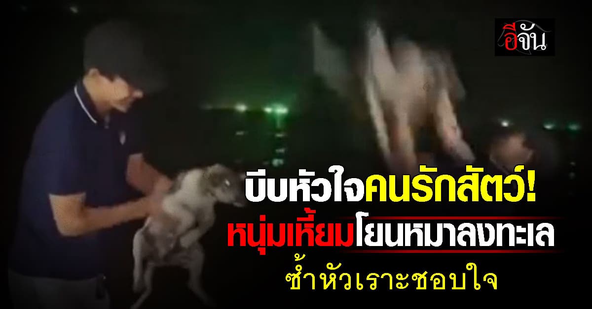 เพจดังตามล่า! หนุ่มใจเหี้ยม โยนหมาลงทะเลหลายครั้ง ซ้ำหัวเราะชอบใจ  