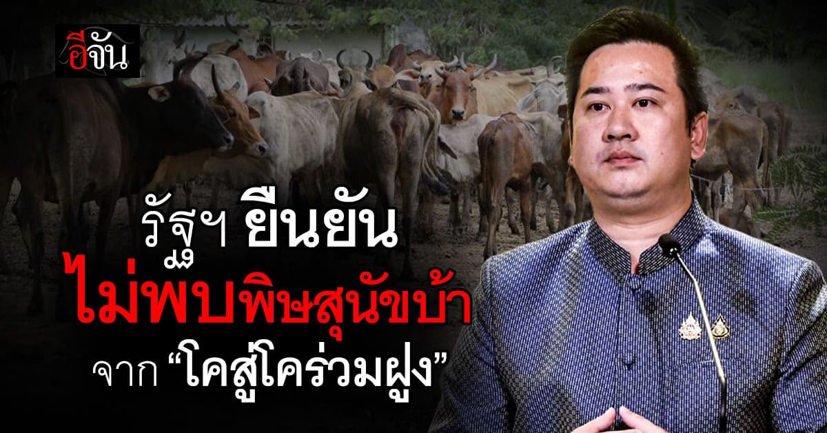 รัฐบาล ยืนยัน ไม่พบโรคพิษสุนัขบ้า จาก “โคสู่โคร่วมฝูง” หรือเกษตรกรผู้เลี้ยง
