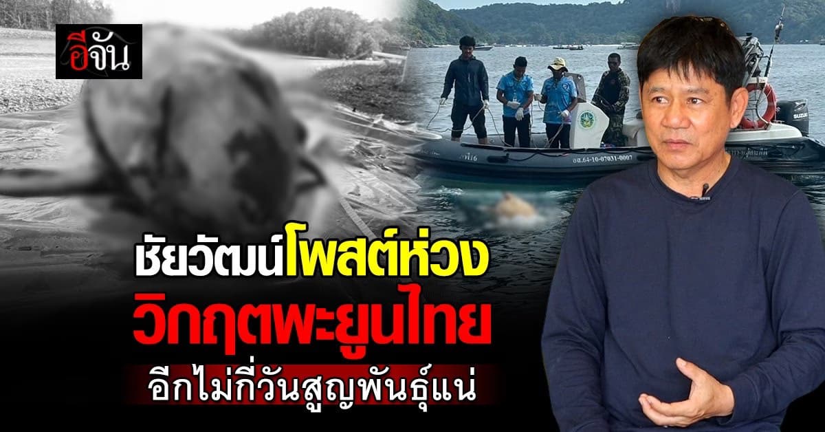 วิกฤตพะยูนไทย 3 เดือน เกยตื้นตาย 29 ตัว               ชงซ้ำ! อนาคตช้างป่า คงไม่ต่างกับพะยูนวันนี้