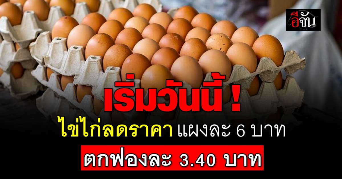 เริ่มวันนี้ ! ไข่ไก่ลดราคา 20 สตางค์/ฟอง แผงละ 6 บาท