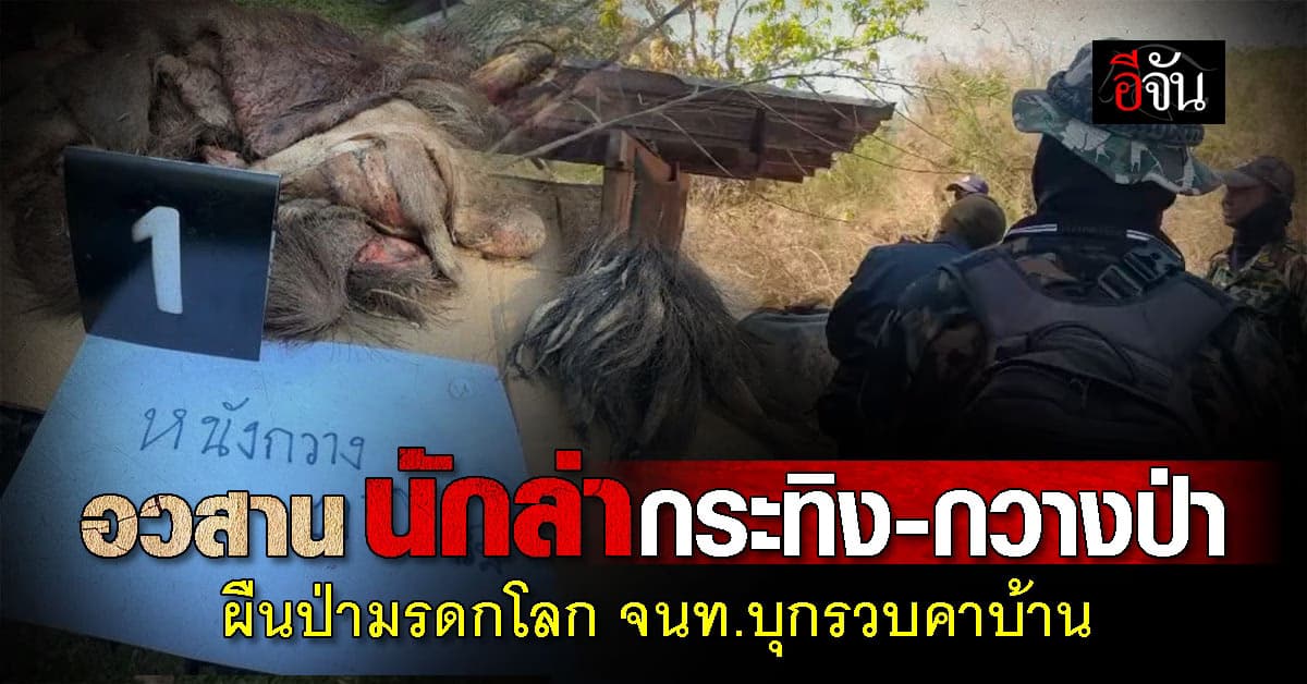หัวหน้ามงคล อช.แก่งกระจาน จัดหนัก!   บุกรวบนักล่าสัตว์ป่าคาบ้าน พบซากของกลางพร้อมอาวุธปืน..งานนี้ไม่รอด!