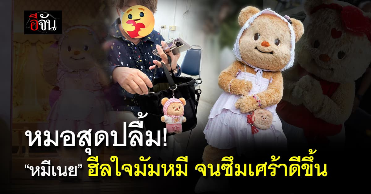 หมอสมอง! แชร์เรื่องราวสุดฮีลใจ ผู้ป่วยซึมเศร้า ดีขึ้นได้เพราะ “หมีเนย” 