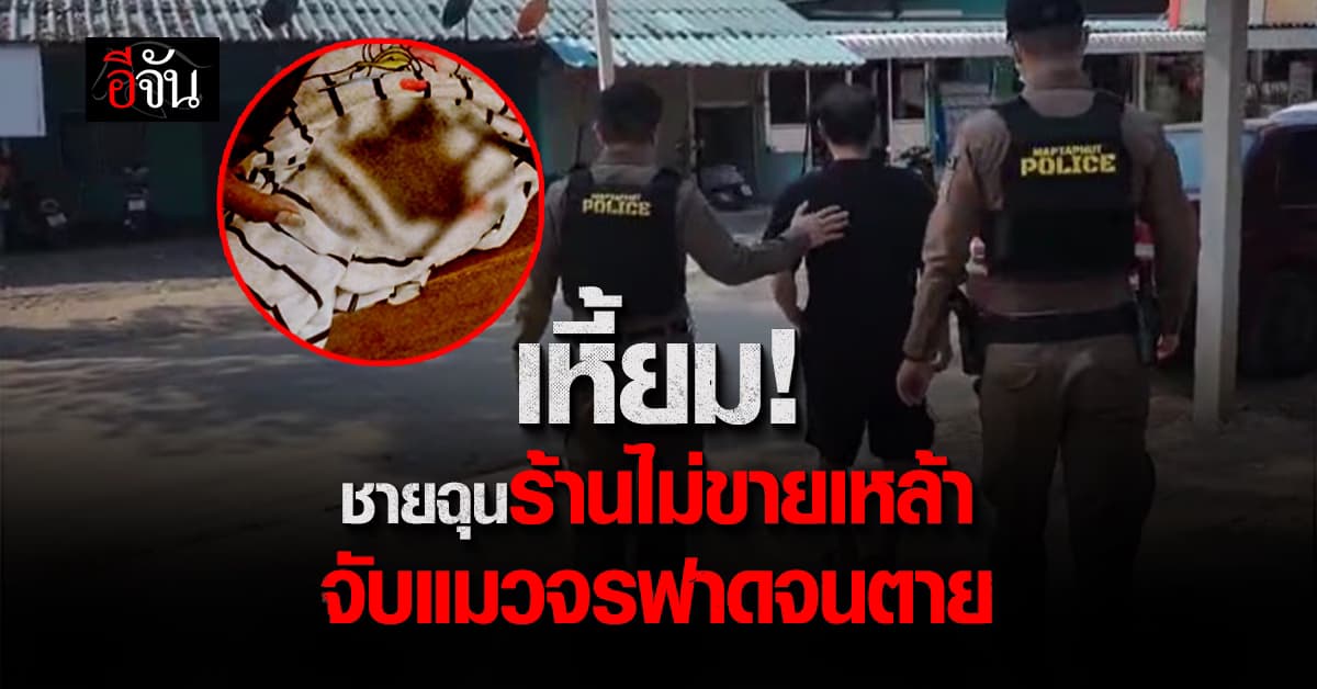 เหี้ยม! ชายโมโหร้านไม่ขายเหล้าให้ สุดท้าย “จับแมวจรฟาดเก้าอี้จนตาย”