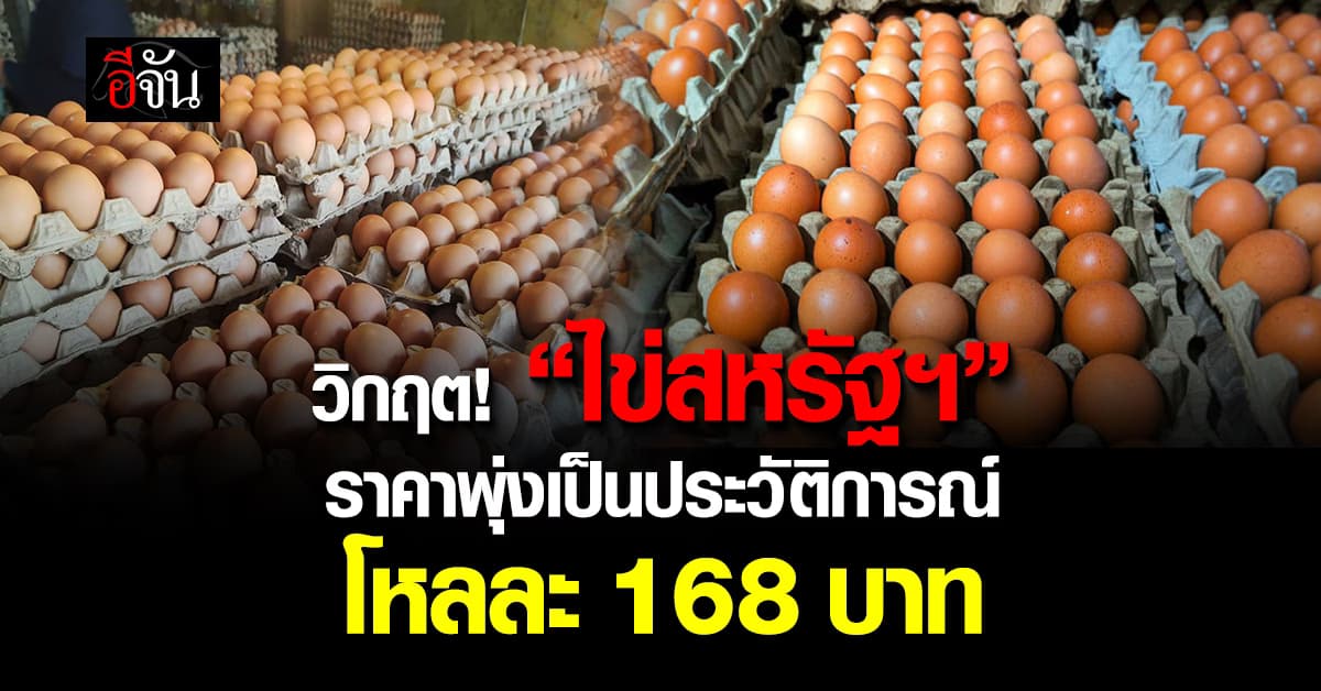 วิกฤตไข้หวัดนก! “ไข่สหรัฐฯ” ราคาพุ่งเป็นประวัติการณ์ โหลละ 168 บาท