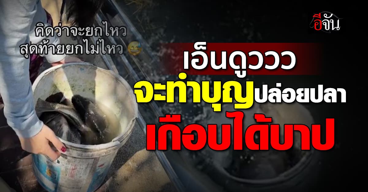 เอ็นดูววว จะทำบุญปล่อยปลา เกือบได้บาป เพราะร่วงลงน้ำไปทั้งถัง 