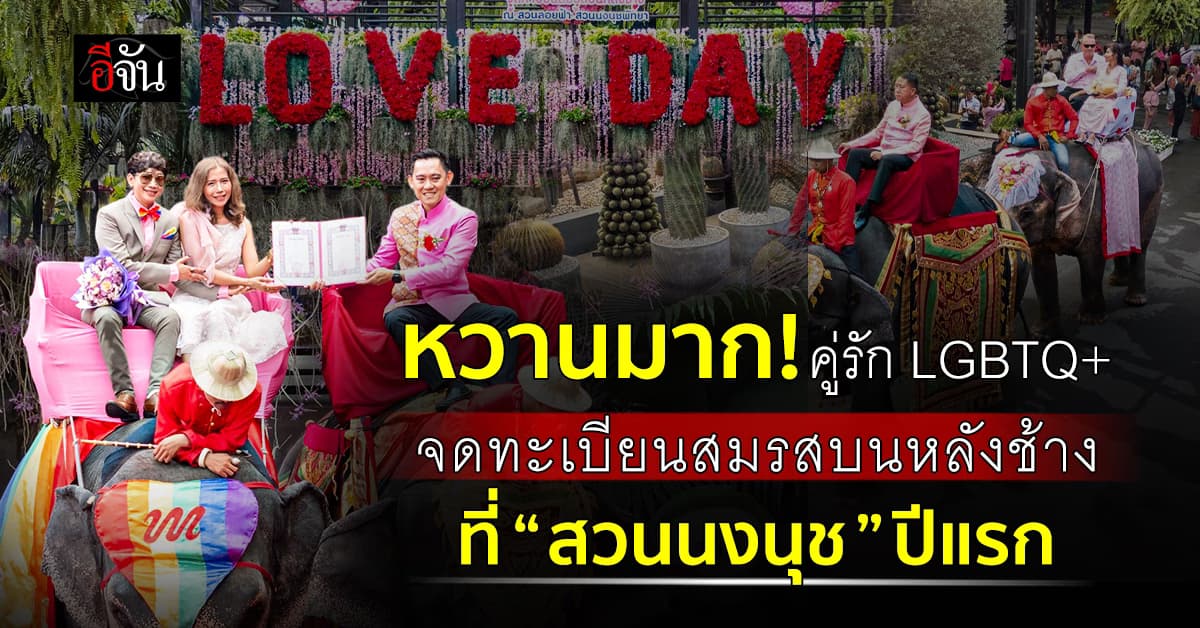 หวานฉ่ำ! วาเลนไทน์นี้ ชาว LGBTQ+ ควงคู่จดทะเบียนสมรสบนหลังช้าง ที่ “สวนนงนุช” ปีแรก