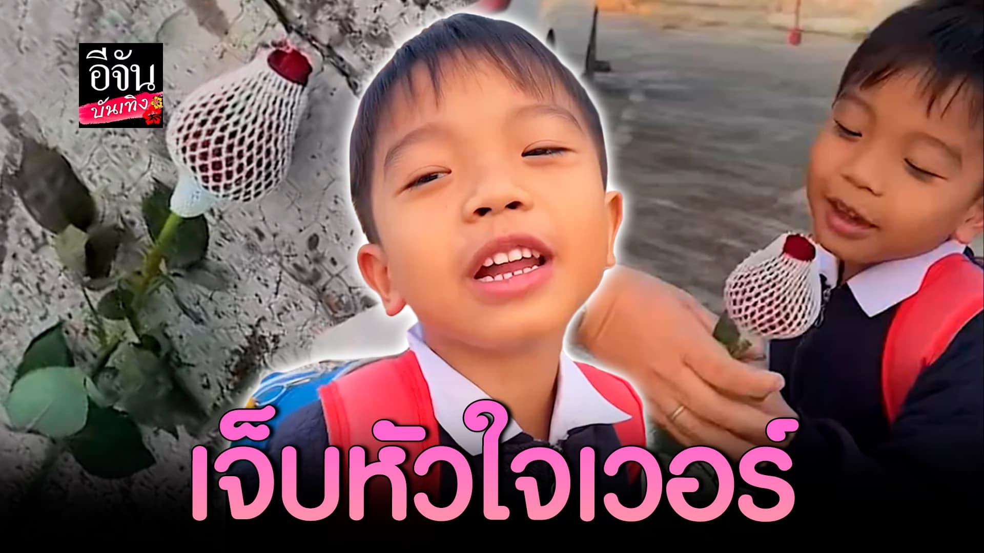 🎬คลิปบันเทิง : เอ็นดู! หนูน้อยบ่นเก่ง ต้องซื้อกุหลาบให้ตัวเอง วาเลนไทน์ทั้งที่ก็อยากมีคนดูแลบ้าง