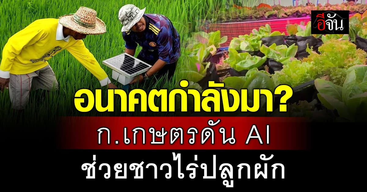 ก.เกษตร ดัน AI สร้าง Smart Farmer ทำเกษตรแม่นยำ ลดต้นทุน สร้างสินค้าคุณภาพ