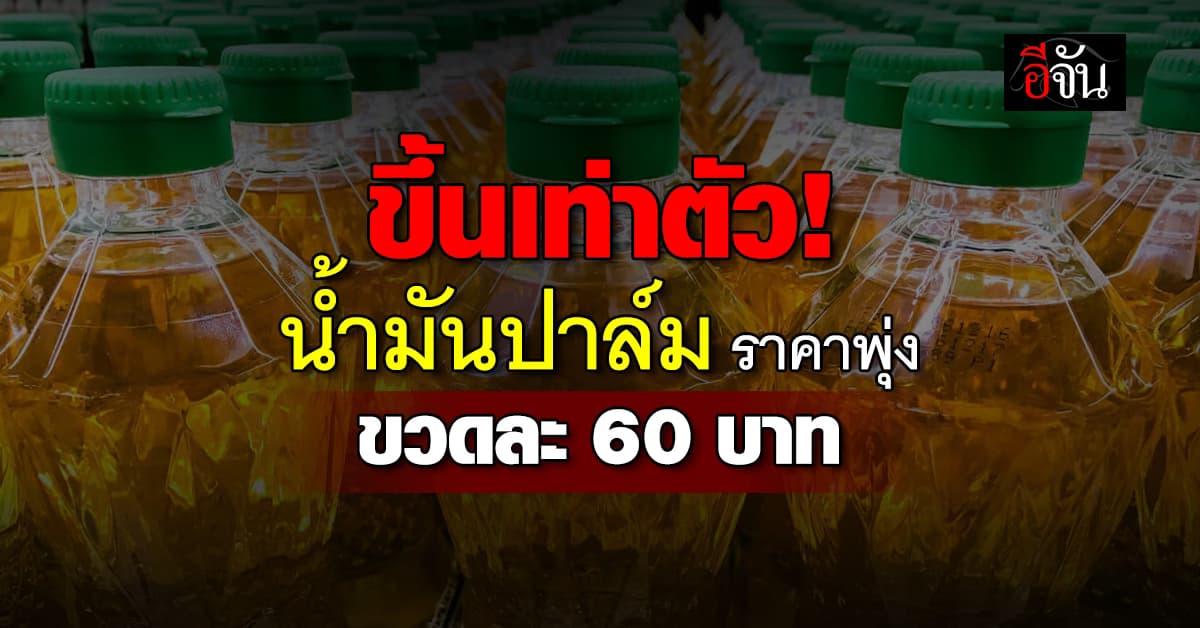 ผู้ค้าโอด! น้ำมันปาล์มราคาขึ้นเท่าตัว วอนรัฐช่วยแก้ปัญหา