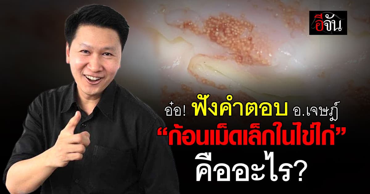 อย่าตื่นตระหนก! อ.เจษฎ์ เฉลยแล้ว “ก้อนเม็ดเล็กในไข่ไก่” คืออะไร?  