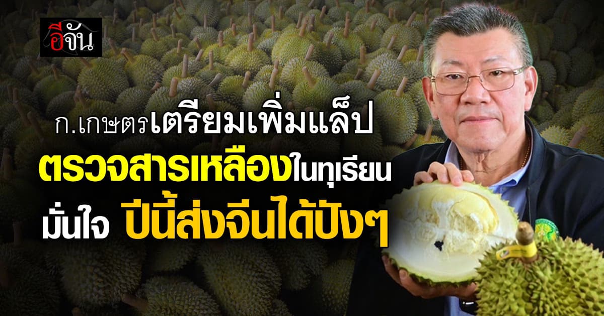 ก.เกษตร สั่งเข้ม ตรวจสารเหลืองในทุเรียน รับช่วงเก็บเกี่ยว ก่อนส่งขายจีน