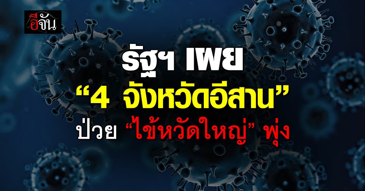 รัฐฯ เผย “4 จังหวัดพื้นที่อีสาน” ยอดป่วย “ไข้หวัดใหญ่” พุ่งสูง