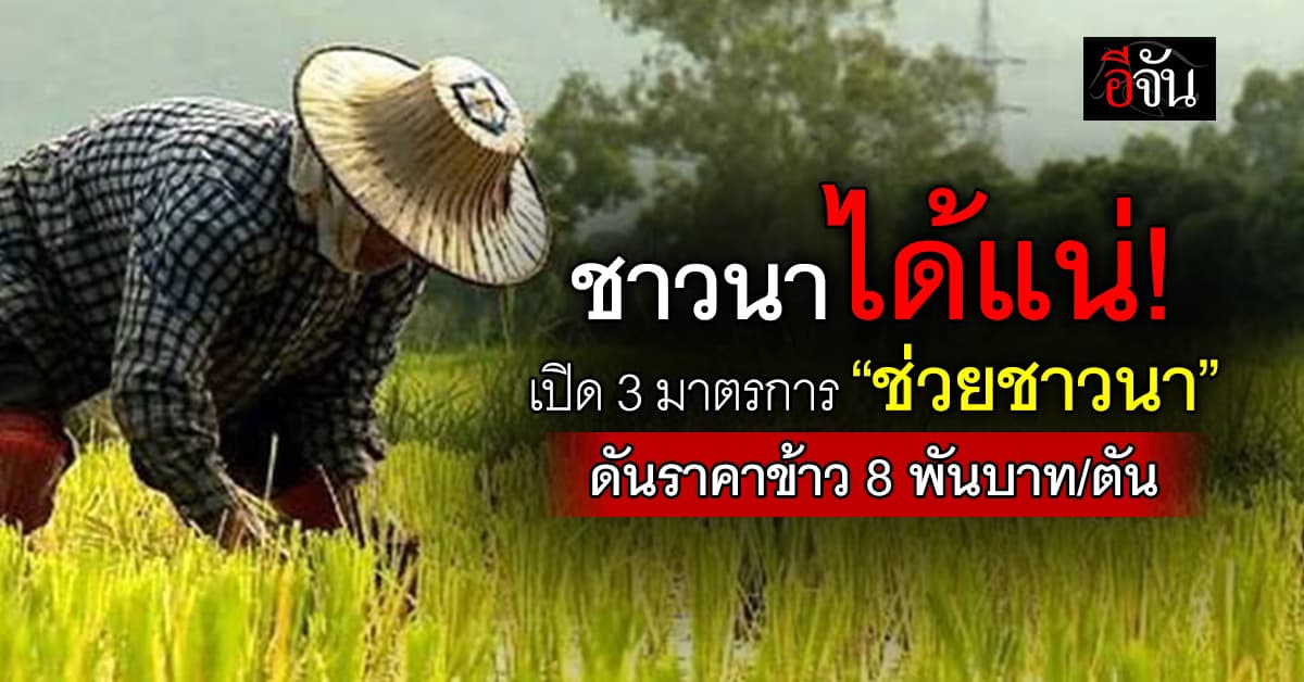 อนุฯ นบข. เคาะ 3 มาตรการ “ช่วยชาวนา” ดันราคาข้าว ทะลุ 8 พันบาท/ตัน