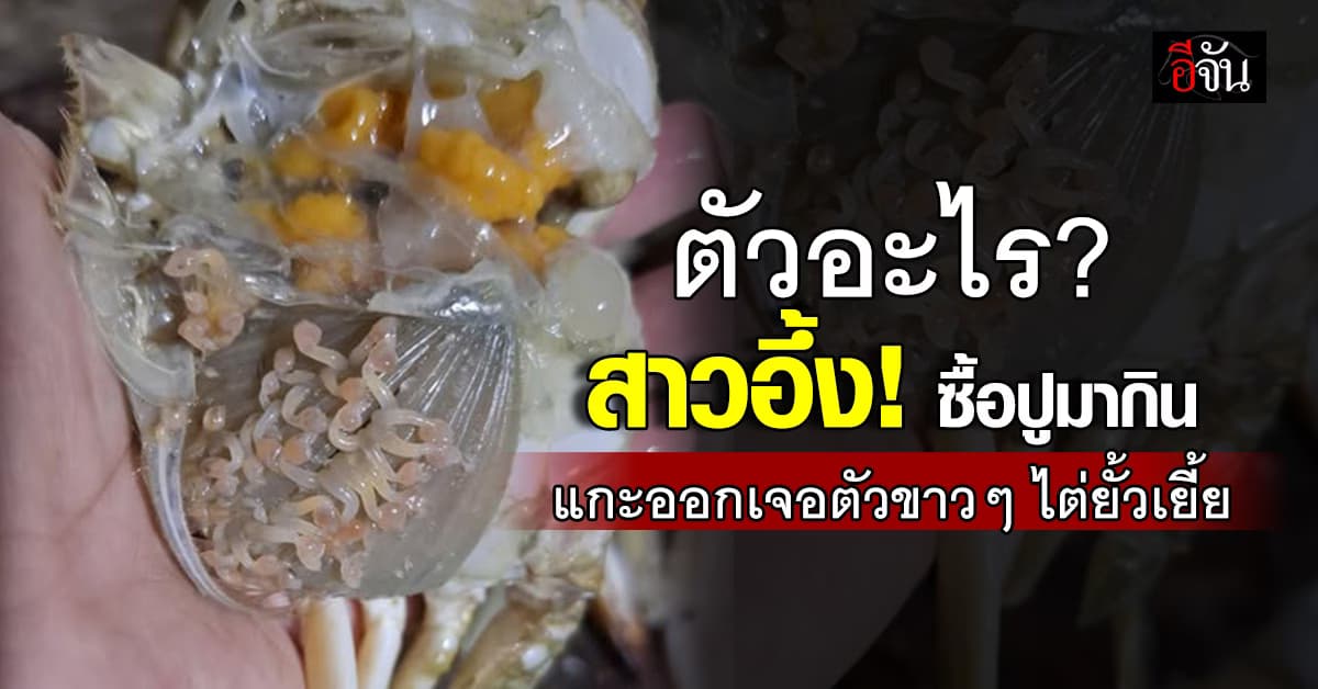 กินต่อหรือพอแค่นี้? สาวอึ้ง! ซื้อปูมากิน แกะออกเจอตัวขาวๆ ไต่ยั้วเยี้ย