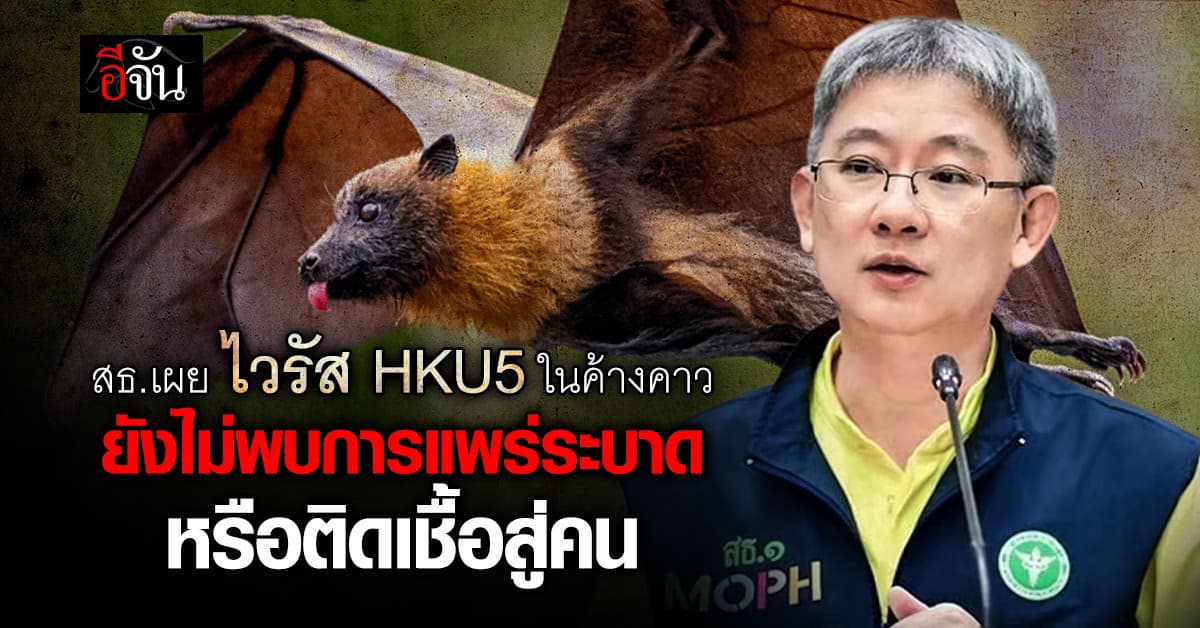 “ปลัด สธ.” เผย ไวรัส HKU5 ในค้างคาว ยังไม่พบการแพร่ระบาดหรือติดเชื้อสู่คน