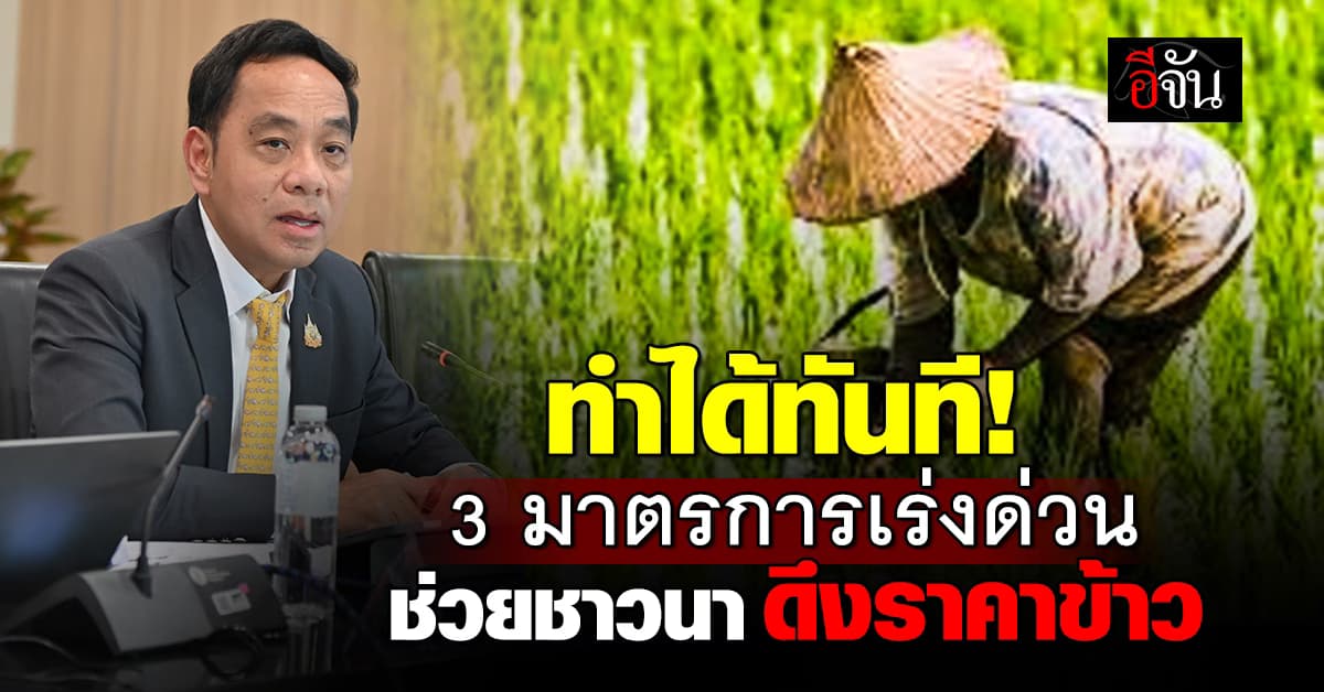 ทำได้ทันที! 3 มาตรการ “ช่วยชาวนา” ดึงราคาข้าว
