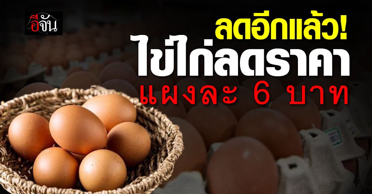 ลดอีก! มีผลวันนี้ ไข่ไก่ลดราคา แผงละ 6 บาท