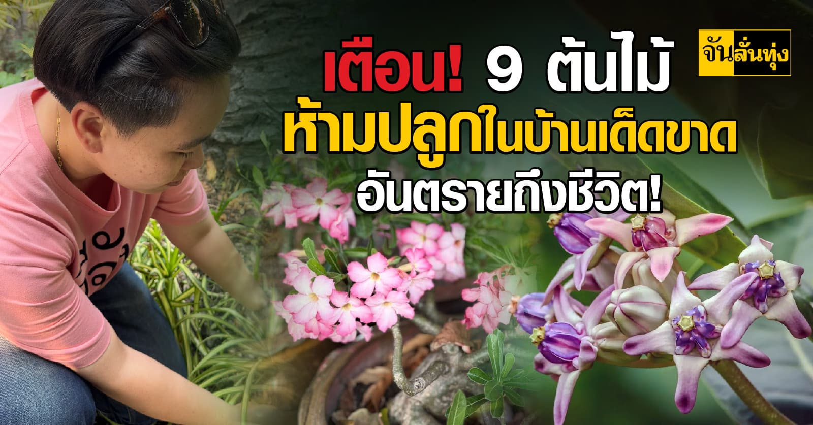 9 ต้นไม้ห้ามปลูกในบ้าน อันตรายถึงชีวิต!