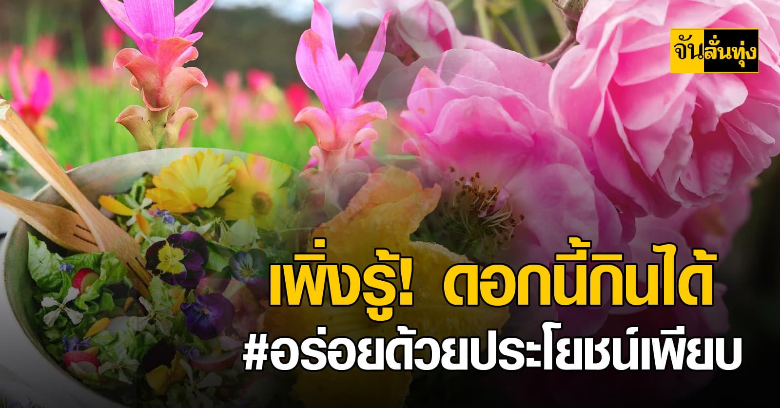 เพิ่งรู้! ดอกนี้กินได้  #อร่อยด้วยประโยชน์เพียบ 