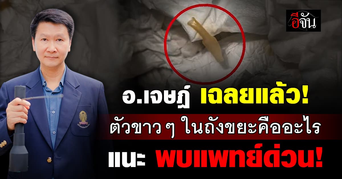 อ.เจษฎ์ เฉลยแล้ว! ตัวขาวๆ ในถังขยะคืออะไร แนะ พบแพทย์ด่วน 