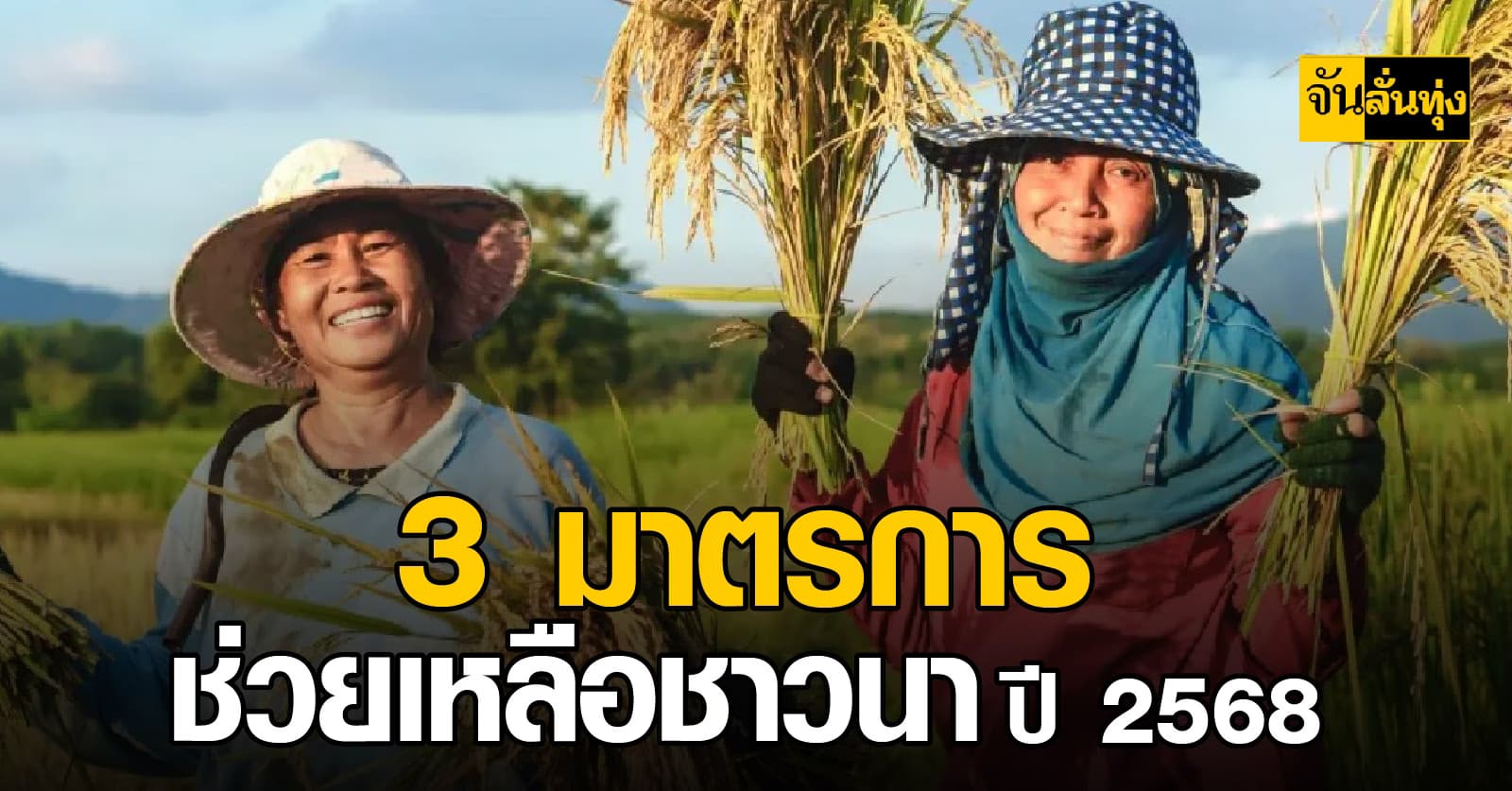 3 มาตรการช่วยเหลือชาวนาปี 2568