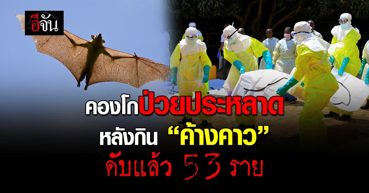 ช็อก! คองโกป่วยโรคประหลาด หลังกินค้างคาว ยอดดับ 53 ราย