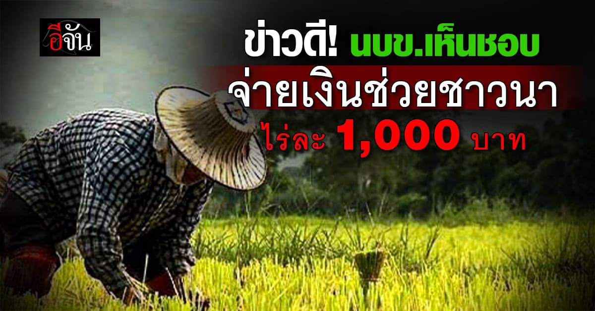 นบข. เคาะแล้ว จ่ายเงินช่วยชาวนา ไร่ละ 1,000 บาท
