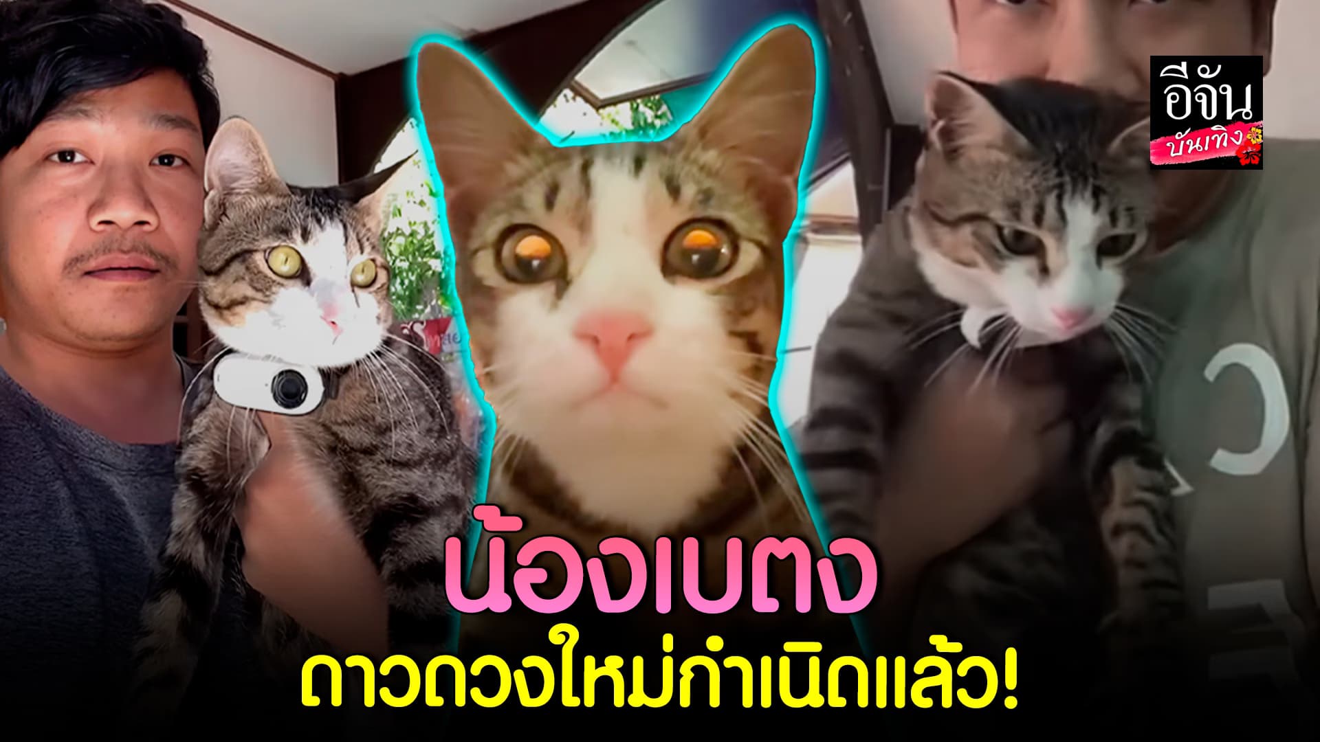 🎬คลิปบันเทิง : คนไทยครึ่งประเทศ ตามติดชีวิตเบตง ถามก็ไม่ตอบ ขยันไลฟ์มาก