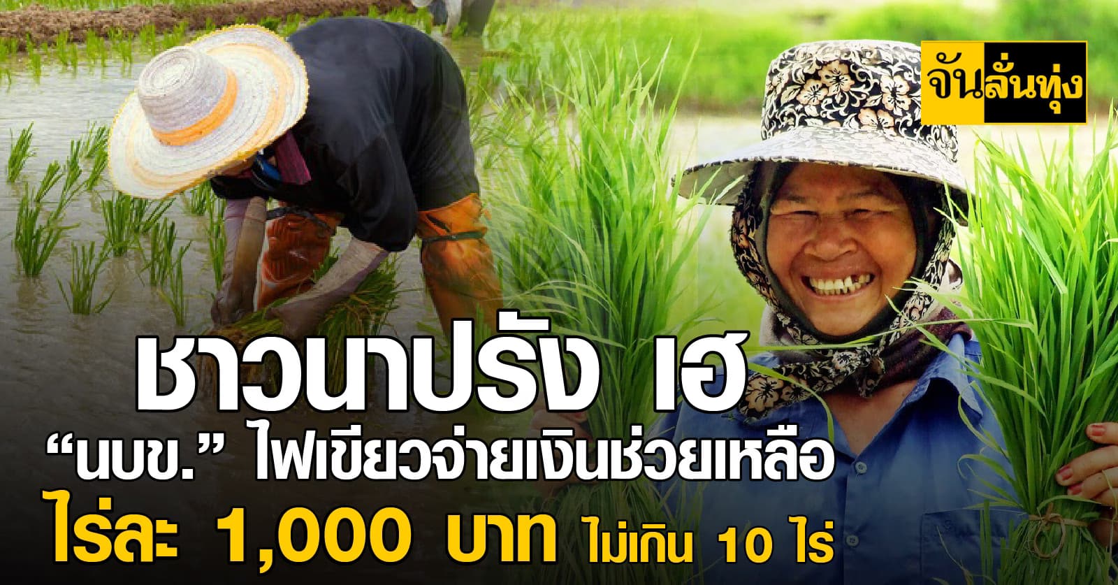 ชาวนาปรัง เฮ “นบข.” ไฟเขียวจ่ายเงินช่วยเหลือไร่ละ 1,000 บ. ไม่เกิน 10 ไร่