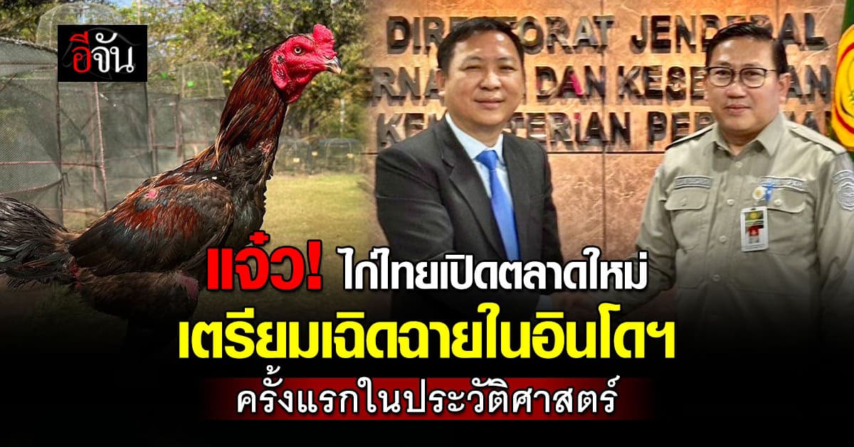กรมปศุสัตว์ เตรียมเปิดตลาดส่งออก ไก่พื้นเมืองมีชีวิต ไปอินโดนีเซีย