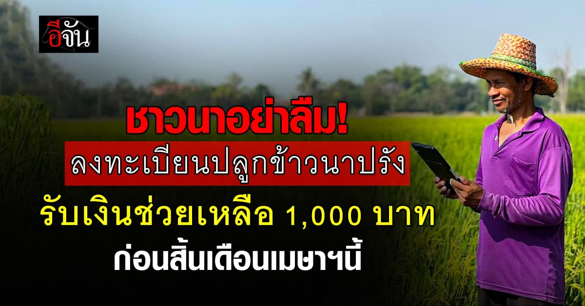 รัฐฯเตือน ชาวนา ลงทะเบียน ผู้ปลูกข้าวนาปรัง รับเงินช่วยเหลือไร่ละ 1 พันบาท