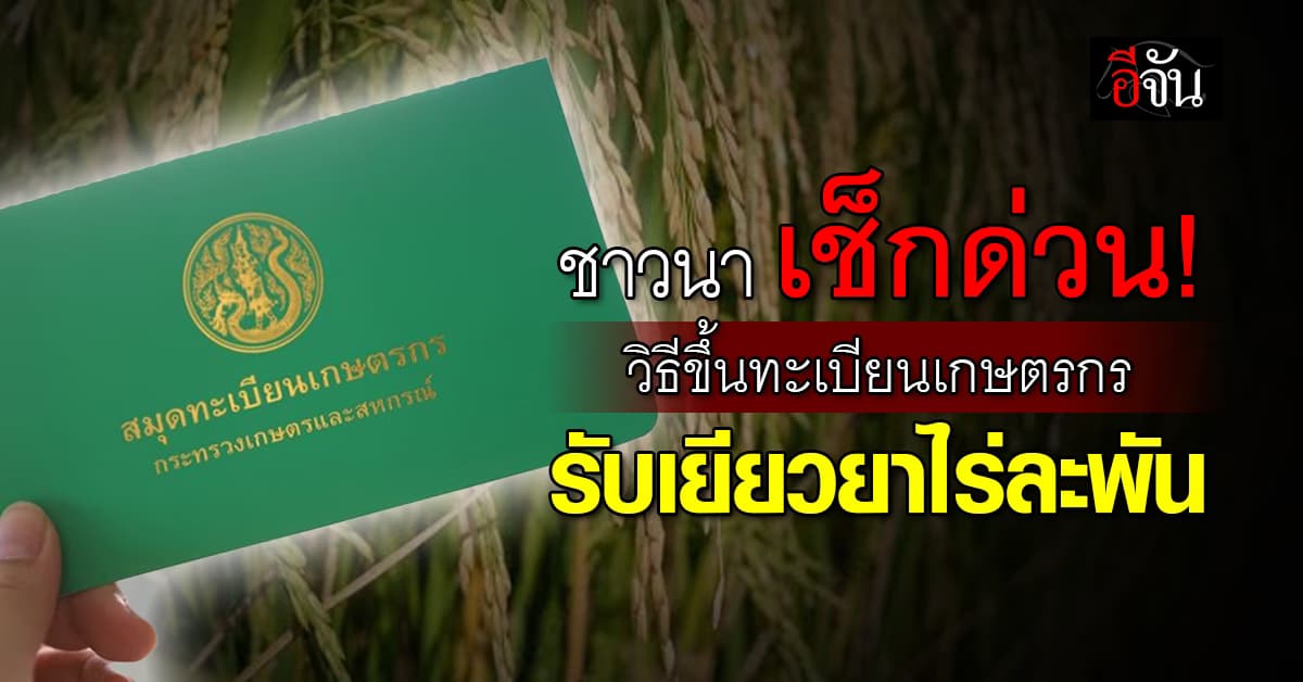 ชาวนา เช็กด่วน! วิธีขึ้นทะเบียนเกษตรกร รับเยียวยาไร่ละพัน