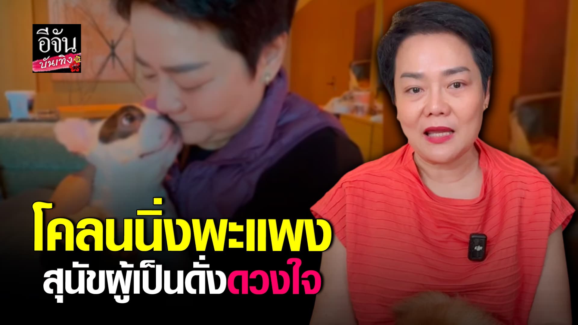 🎬คลิปบันเทิง :พี่ไก่วีคลีน เล่าเรื่องราวการทำ โคลนนิ่ง พะแพง สุนัขตัวโปรด