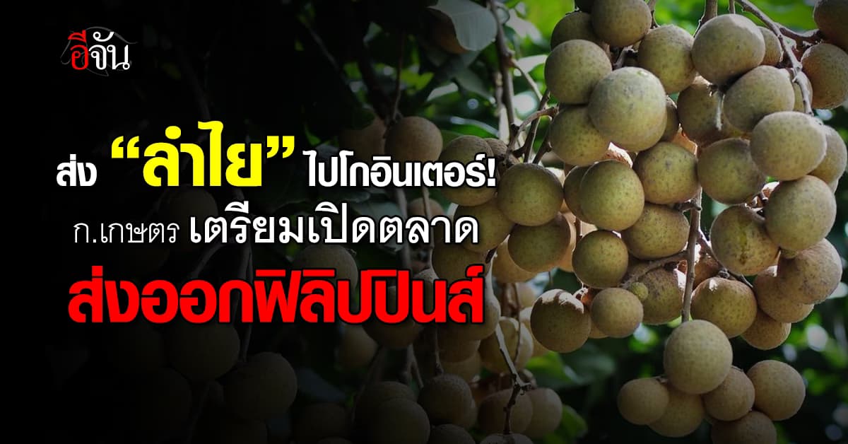 ก.เกษตร สั่ง คุมเข้มส่งออกผลไม้ แย้ม เตรียมขยายตลาด ส่งออกลำไย ไปฟิลิปปินส์