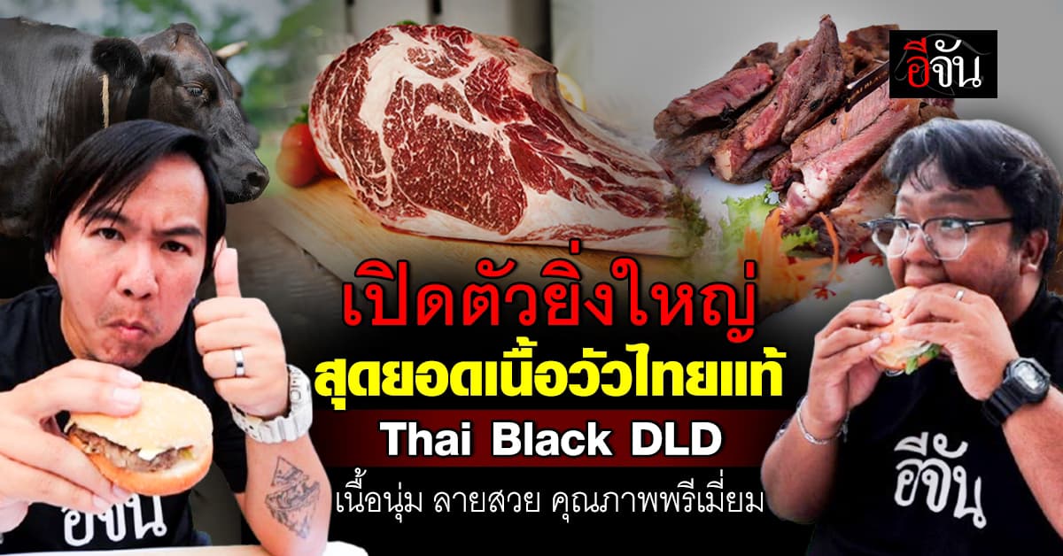 กรมปศุสัตว์ เปิดตัว เนื้อไทยแท้ ลายวากิว Thai Black DLD เตรียมแจกเกษตรกรขยายพันธุ์